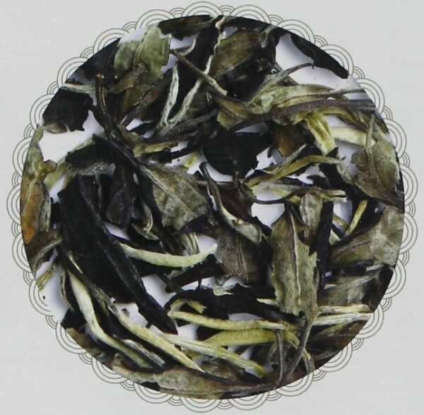 Moonlight White Tea - Leaves